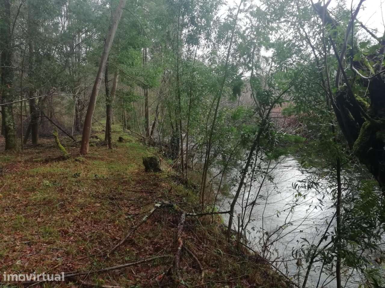 Terreno no Vale do Âncora com Frente de Rio – Gondar e Orbacem, Caminh - Grande imagem: 2/35