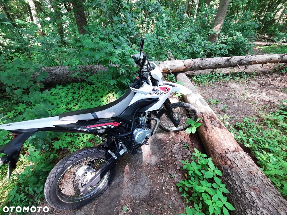 Yamaha WR - 15