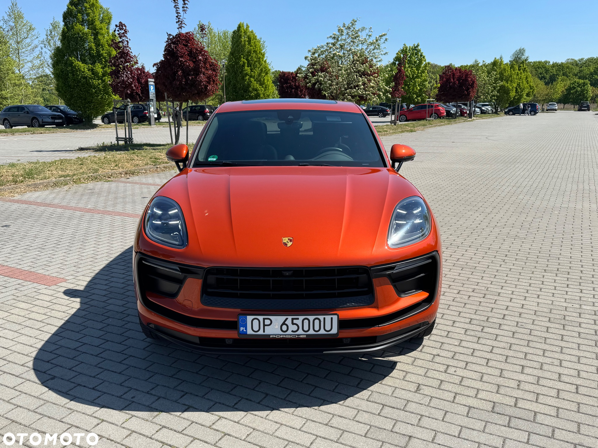 Porsche Macan Standard - 2
