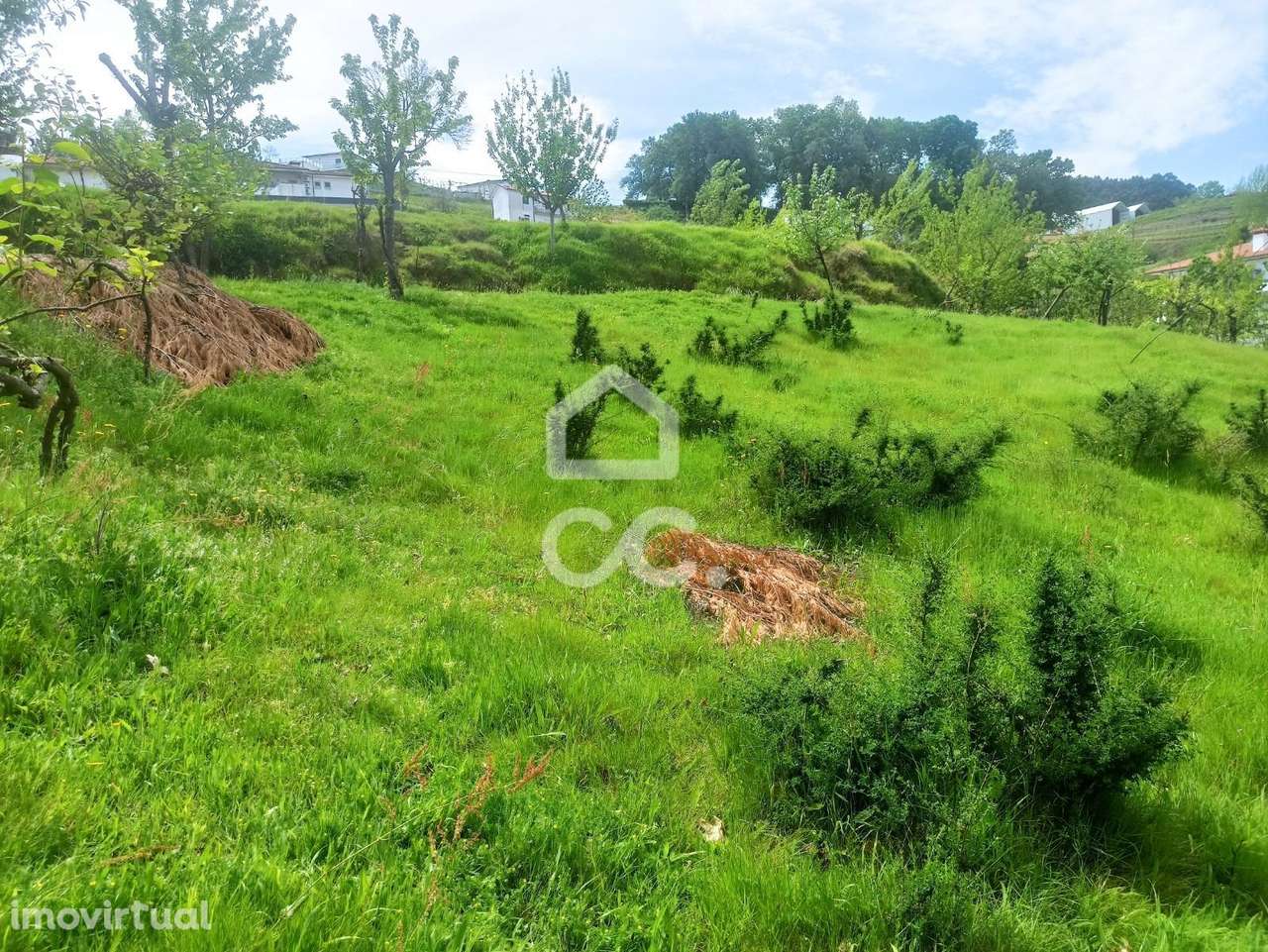 Terreno em Mesão Frio - Grande imagem: 4/18