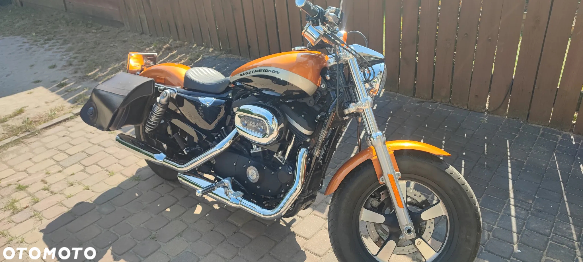 Harley-Davidson Sportster Custom 1200C - 5