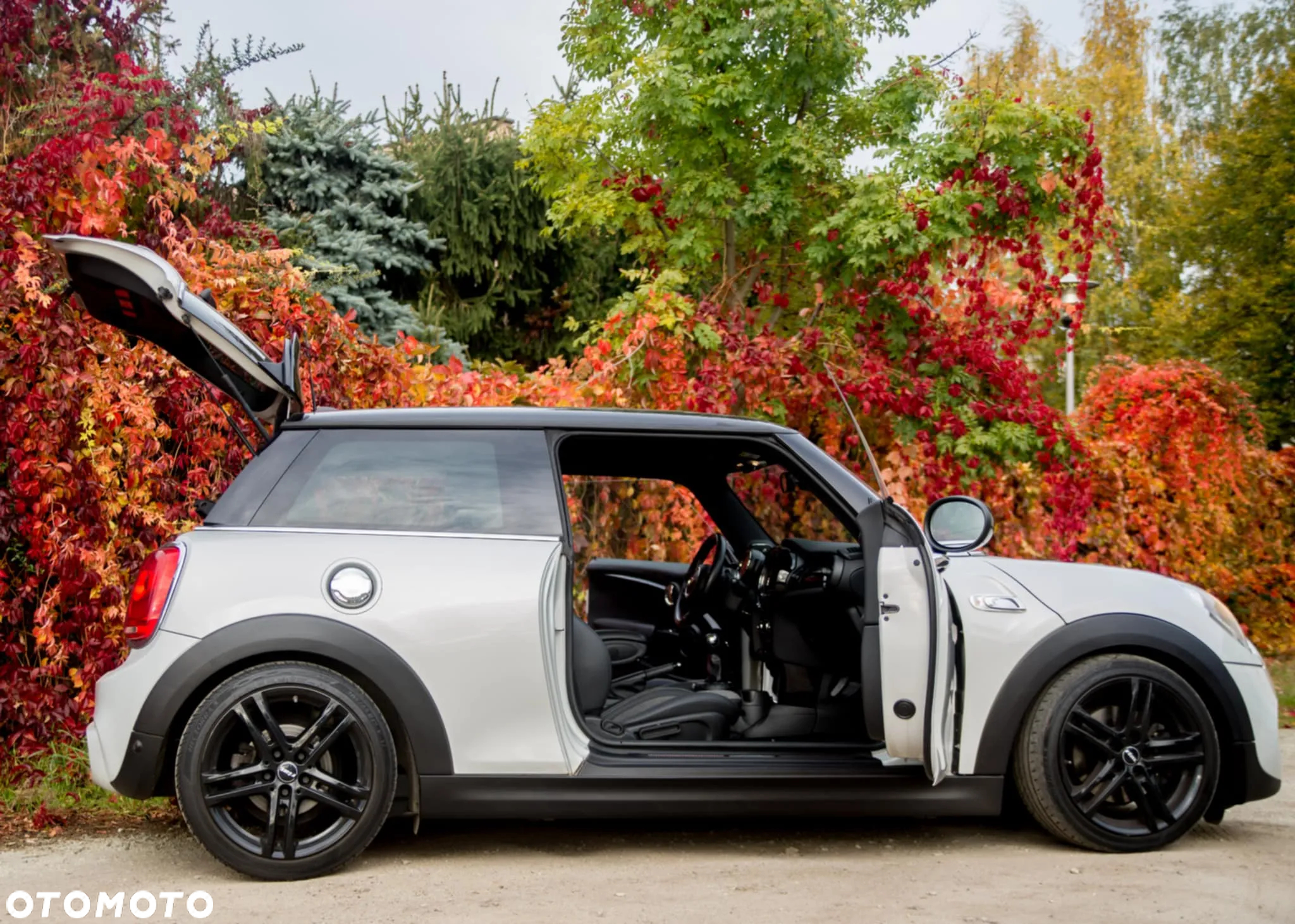 MINI Cooper S - 5