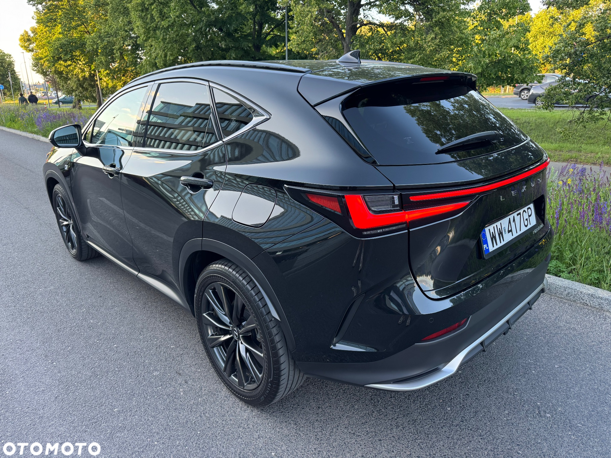 Lexus NX 350h F Sport AWD