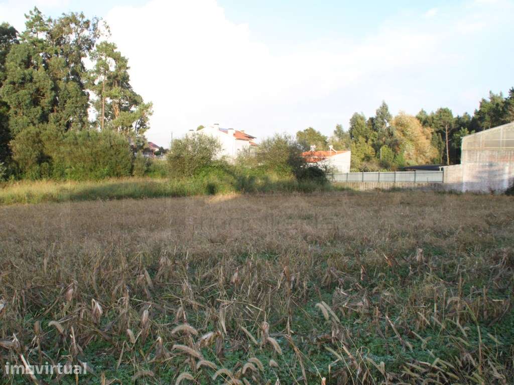 Espaçoso terreno com 2 frentes para construção de moradias - Aveiro - Grande imagem: 2/5