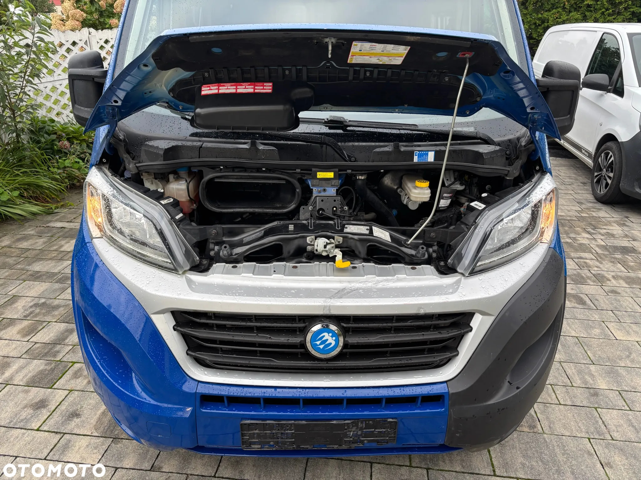 Fiat Ducato - 13