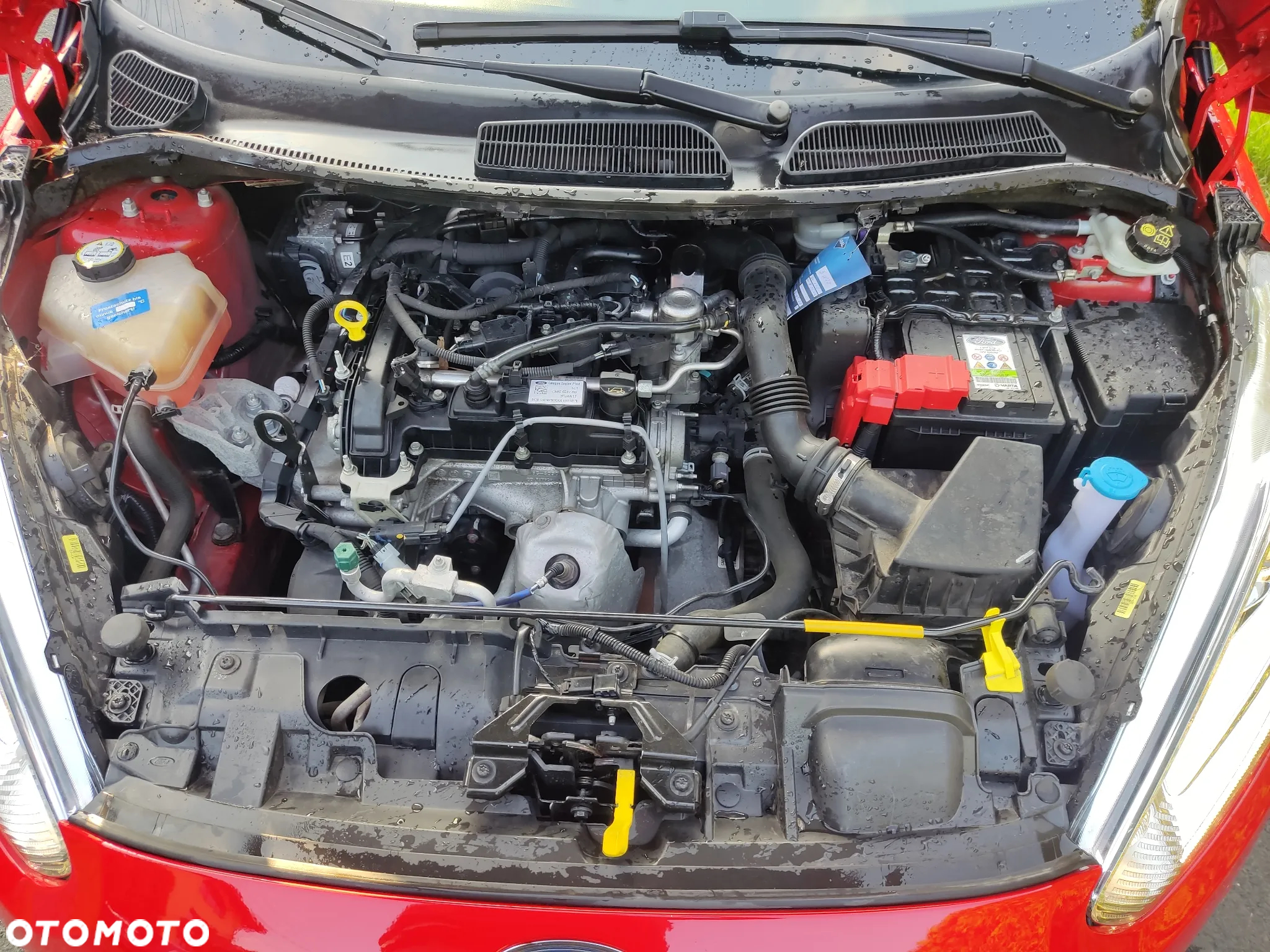 Ford Fiesta 1.0 Start-Stop Champions Edition - 18