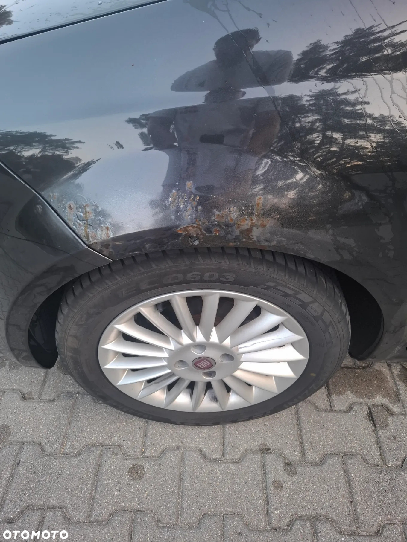 Fiat Linea 1.3 MJ 16V Active - 24