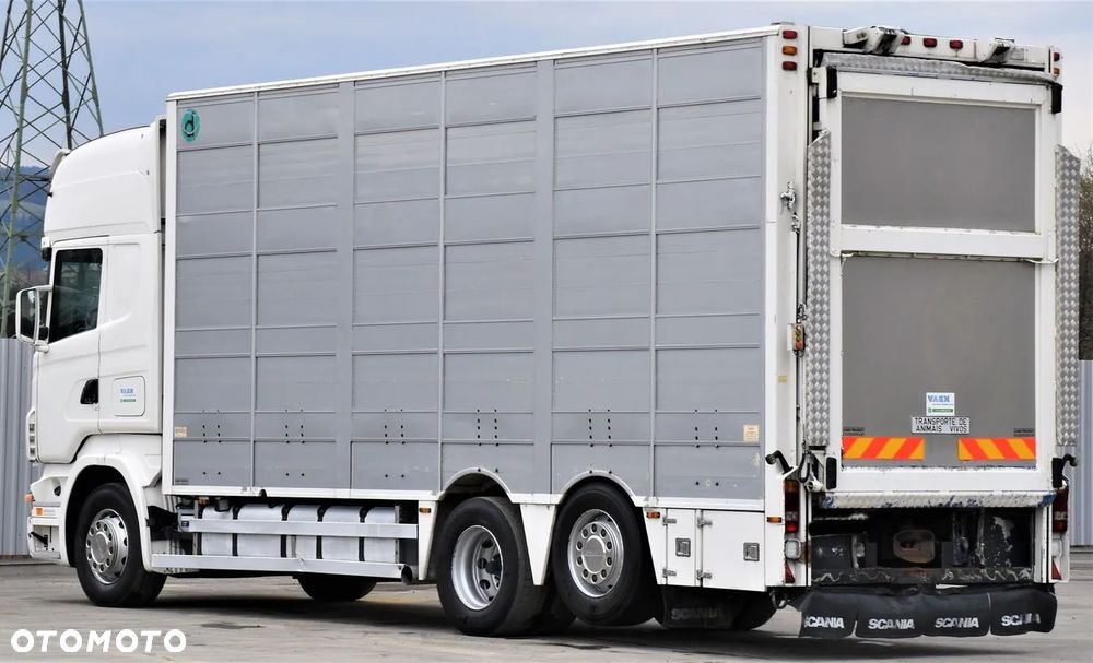Scania R 500 Bydlarka/Do Przewozu Żywca 7,10m - 4