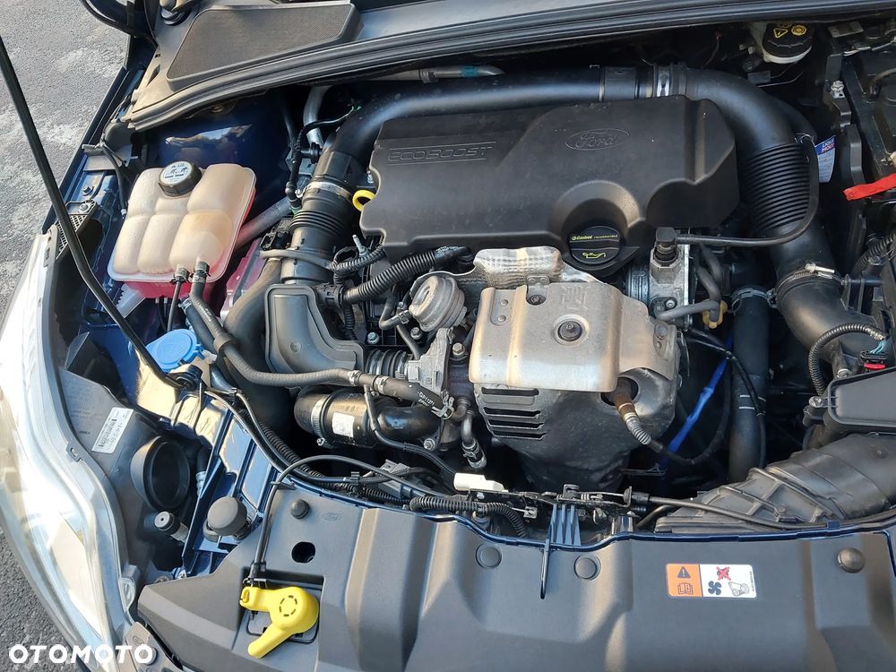 Ford Focus - 31