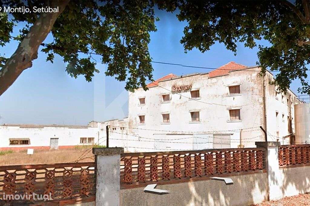 Terreno misto com 9 ha no Montijo a 4,4 km da BA6 - Grande imagem: 2/9