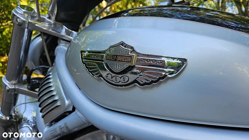 Harley-Davidson Softail V-Rod - 13