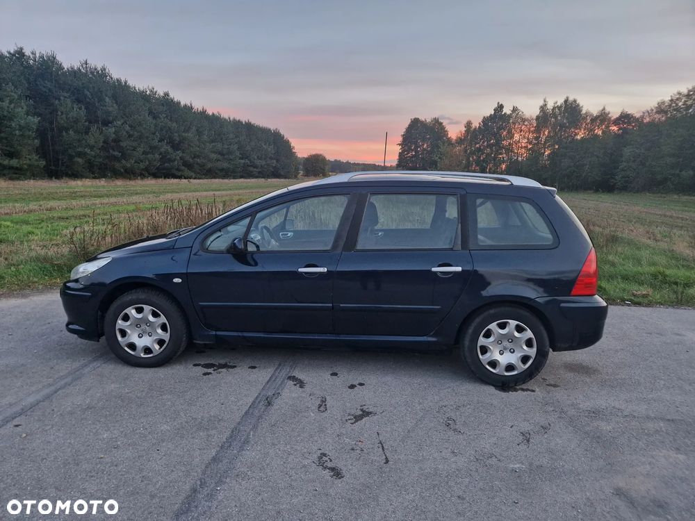 Peugeot 307 110 OXYGO - 3
