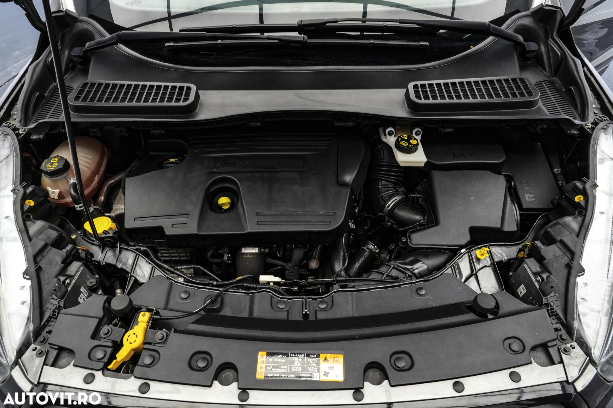 Ford Kuga 2.0 TDCi 4WD Powershift ST-Line - 23