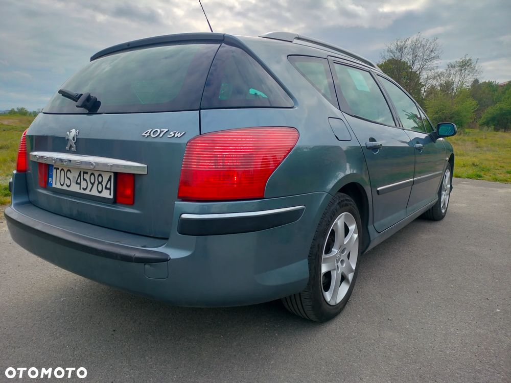 Peugeot 407 - 25