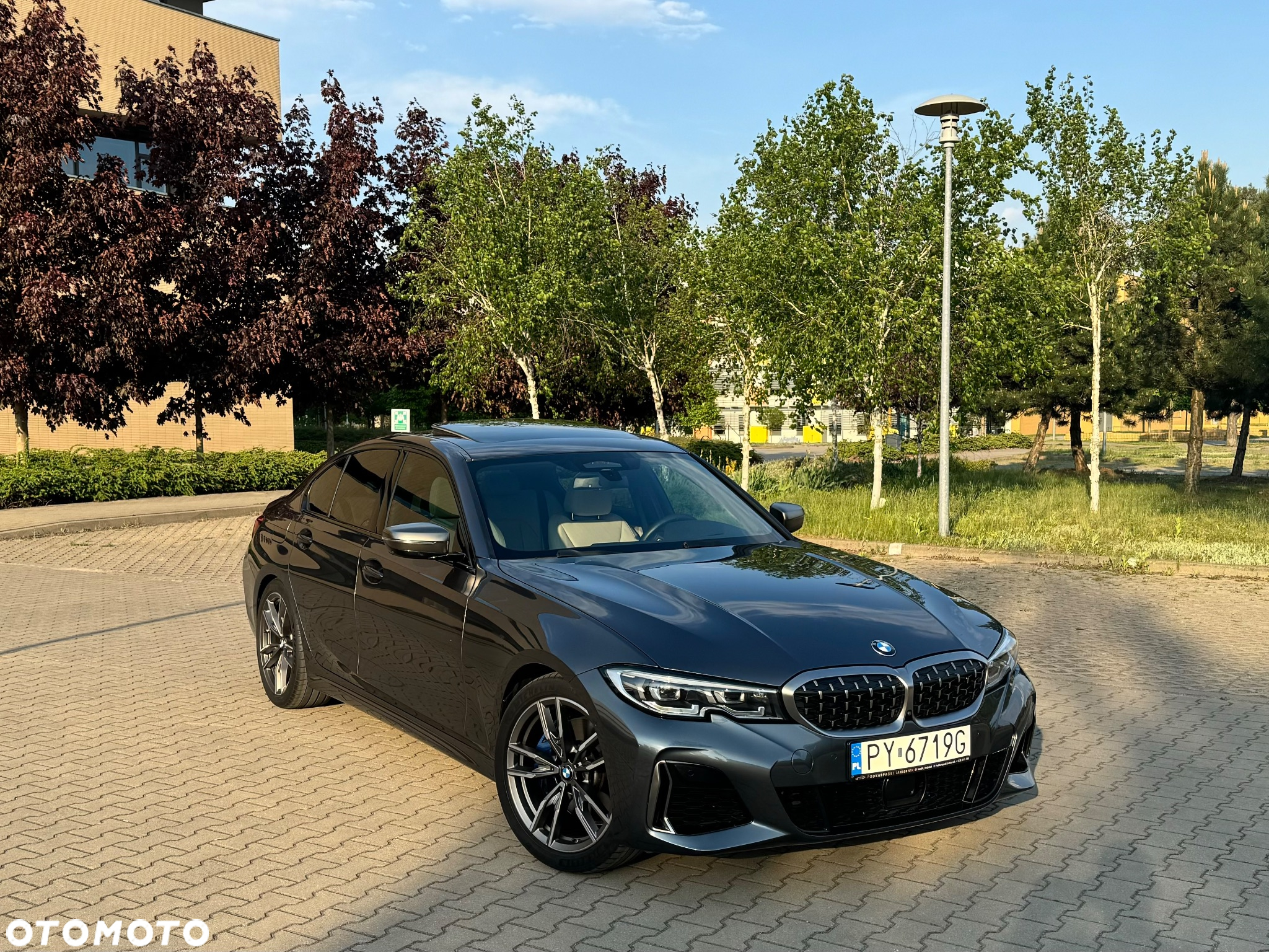 BMW Seria 3 - 2