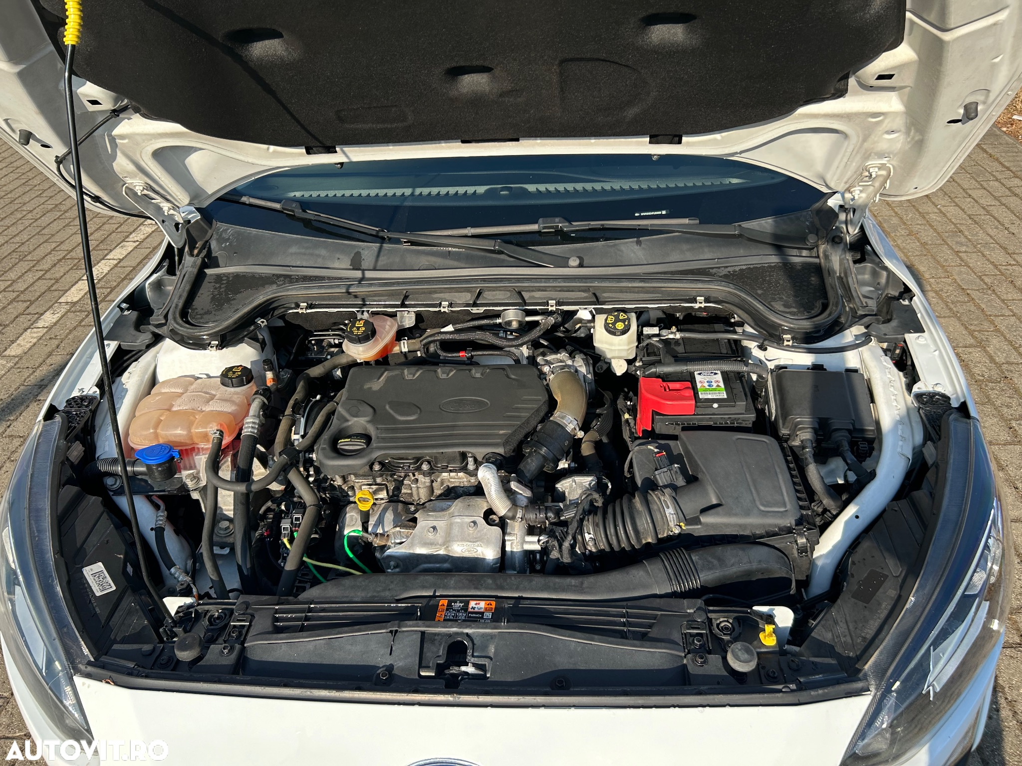Ford Focus 1.5 EcoBlue Trend Edition - 12