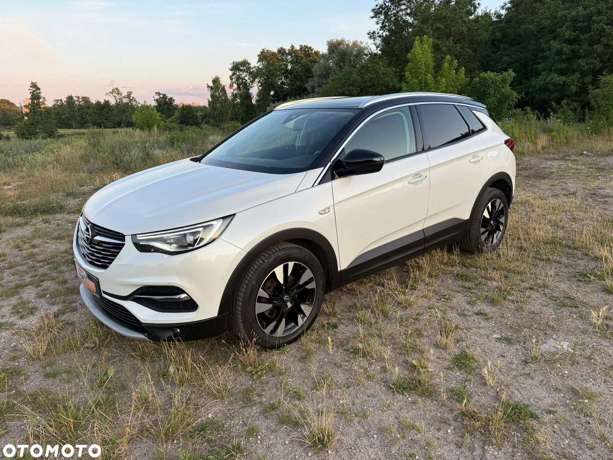 Opel Grandland X 1.5 D Start/Stop Edition - 4