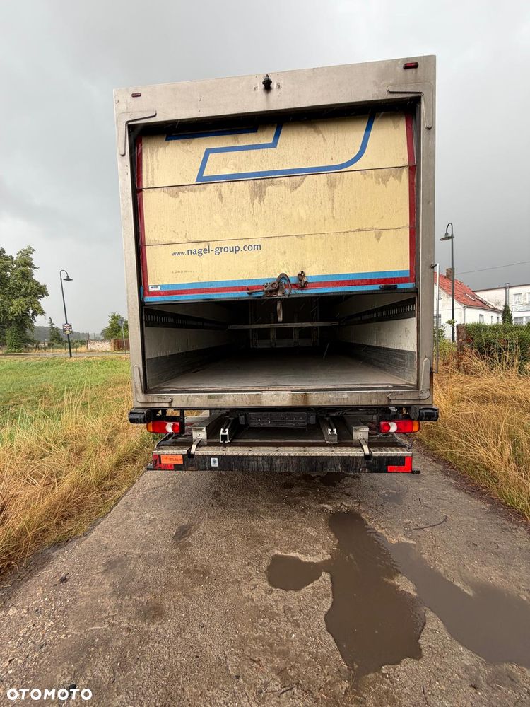 DAF LF 55 - 12