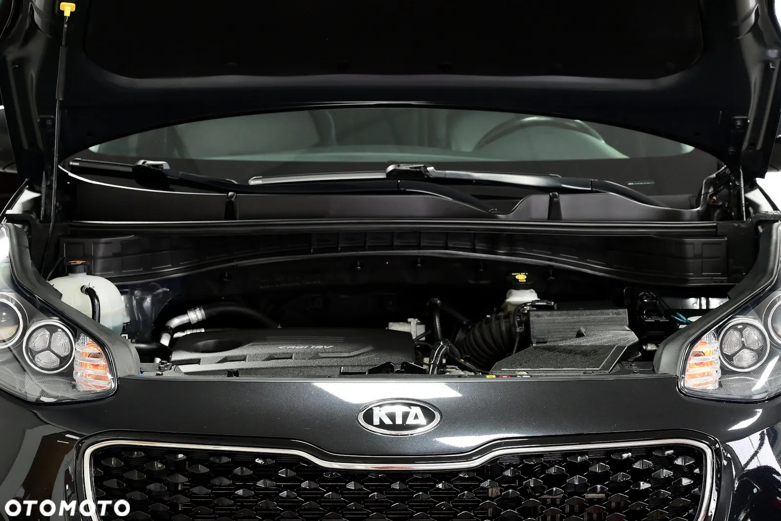 Kia Sportage - 9