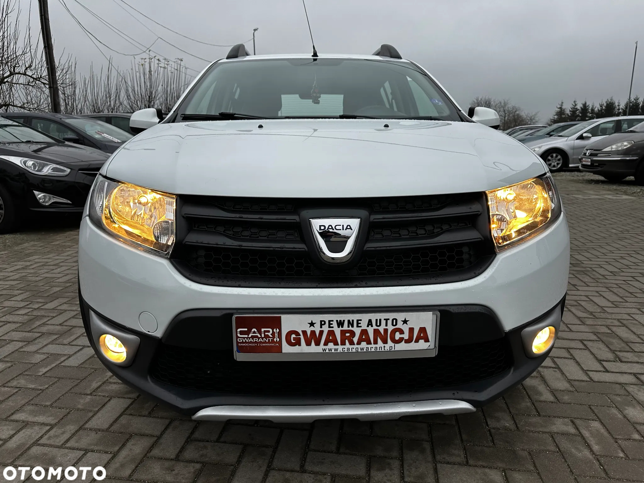 Dacia Sandero Stepway - 29