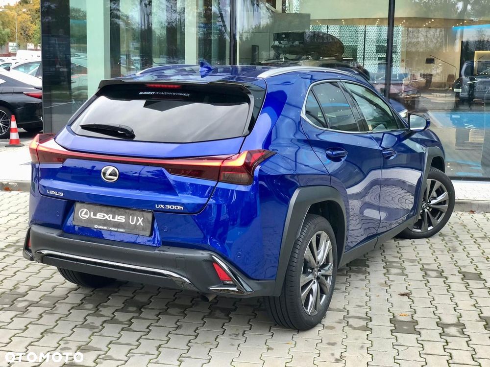 Lexus UX 300h F Sport Design - 12
