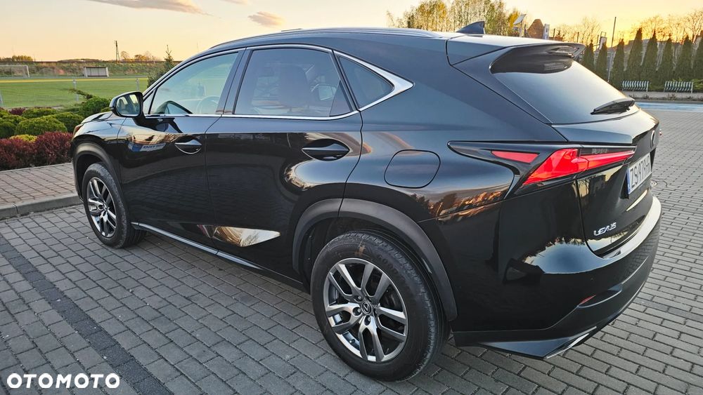 Lexus NX 300 Comfort AWD - 13