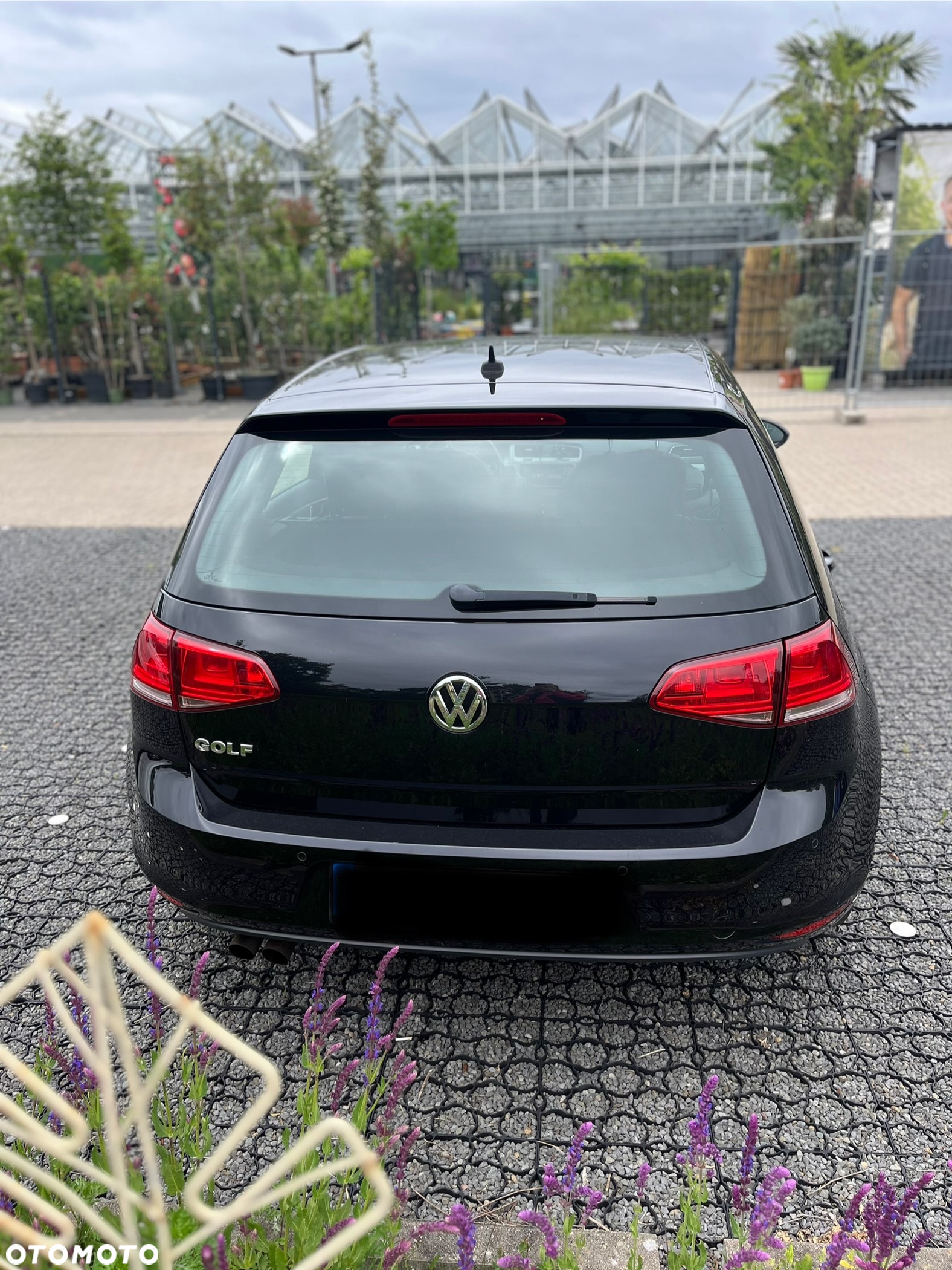 Volkswagen Golf - 4