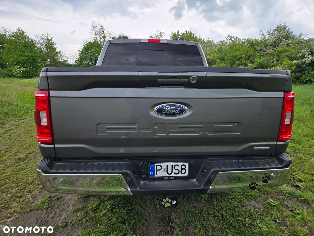Ford F150 - 19