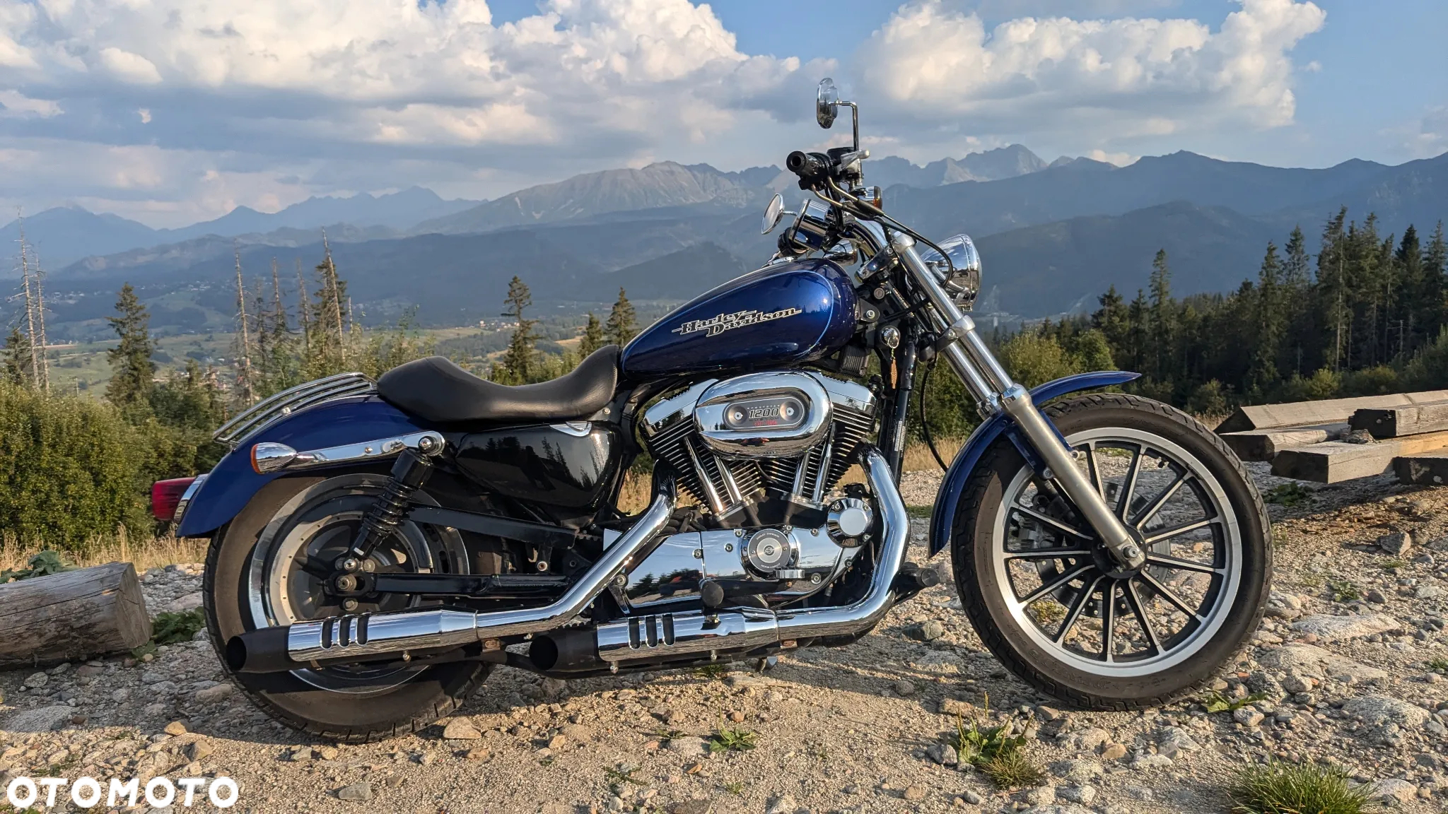 Harley-Davidson Sportster Custom 1200C - 2