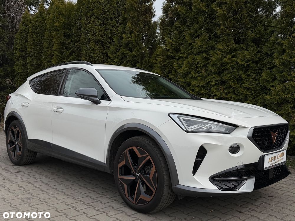 Cupra Formentor 1.4 e-Hybrid DSG Tribe Edition - 13