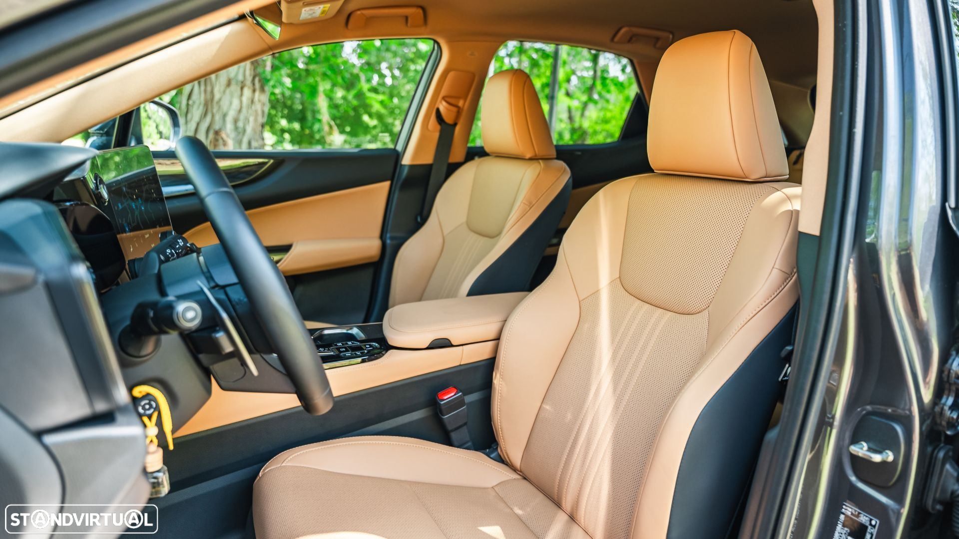Lexus NX 450h+ Executive - 12