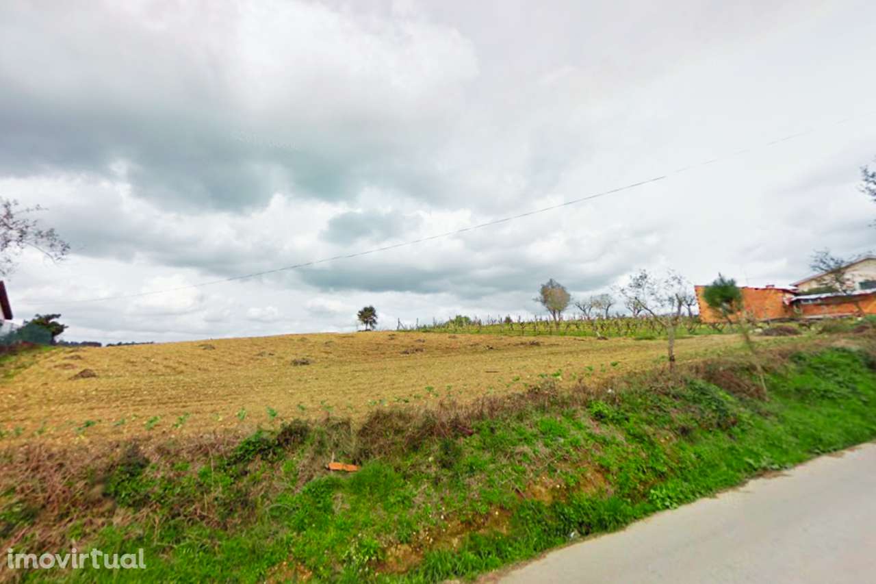 Terreno Urbano no Pereiro, Anadia - Grande imagem: 2/8