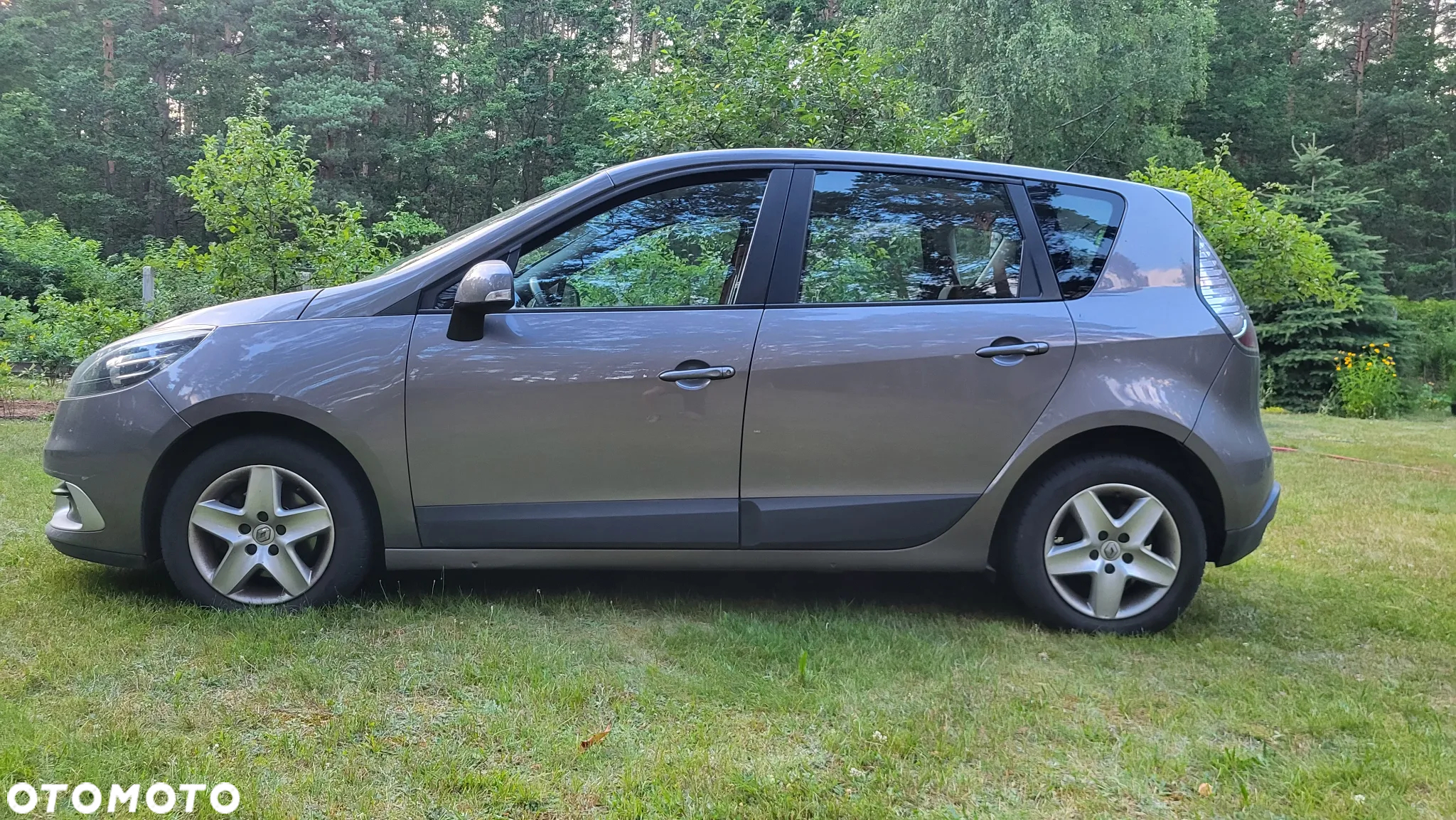 Renault Scenic - 8