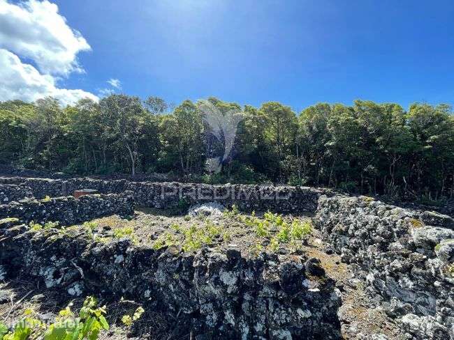 Terreno à venda em Candelária, Madalena do Pico - Grande imagem: 4/13