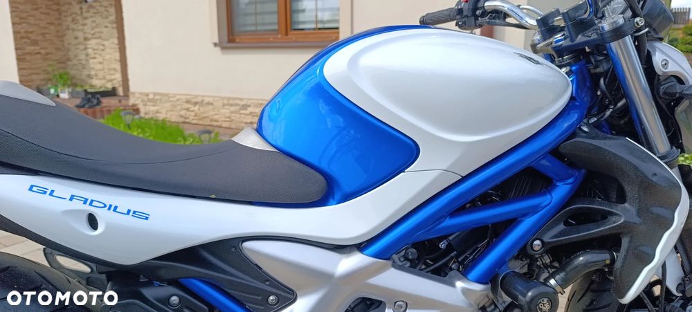 Suzuki Gladius - 23