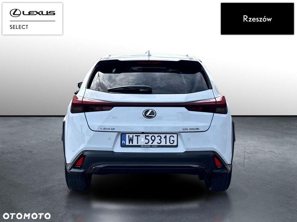 Lexus UX 250h GPF F Sport Design+ 2WD - 4
