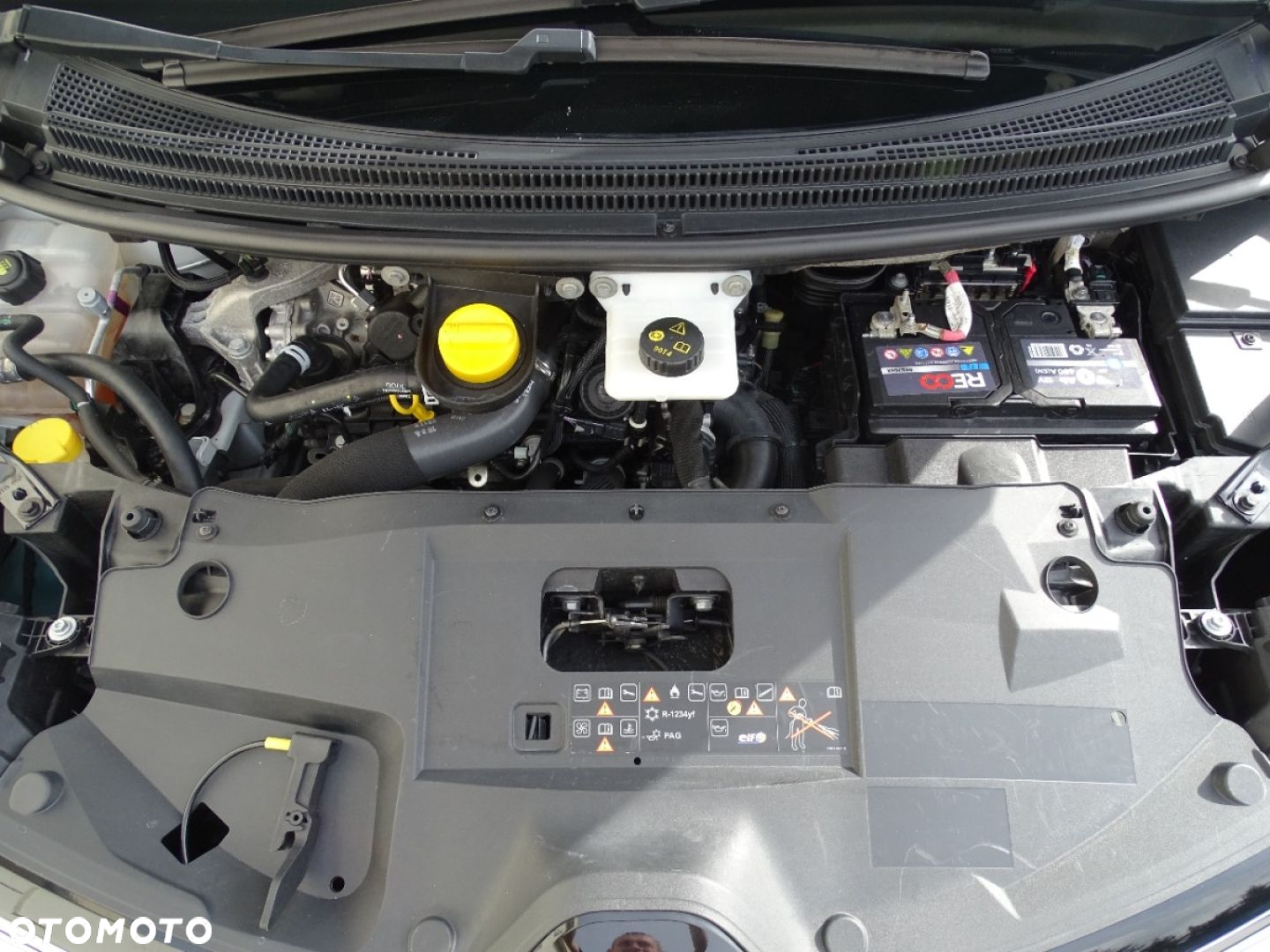 Renault Scenic - 23