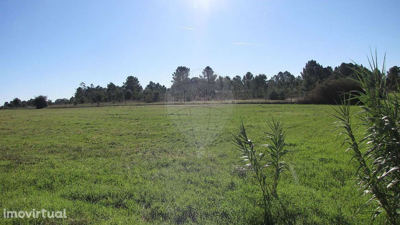 Terreno  para venda - Grande imagem: 4/49