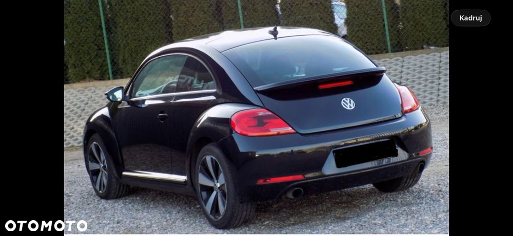 Volkswagen Beetle - 8