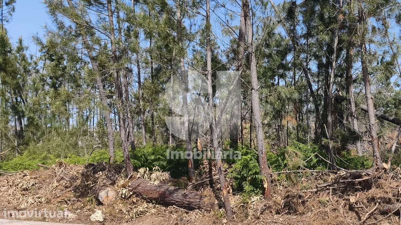 Terreno com acesso direto à EN356 - Grande imagem: 2/10