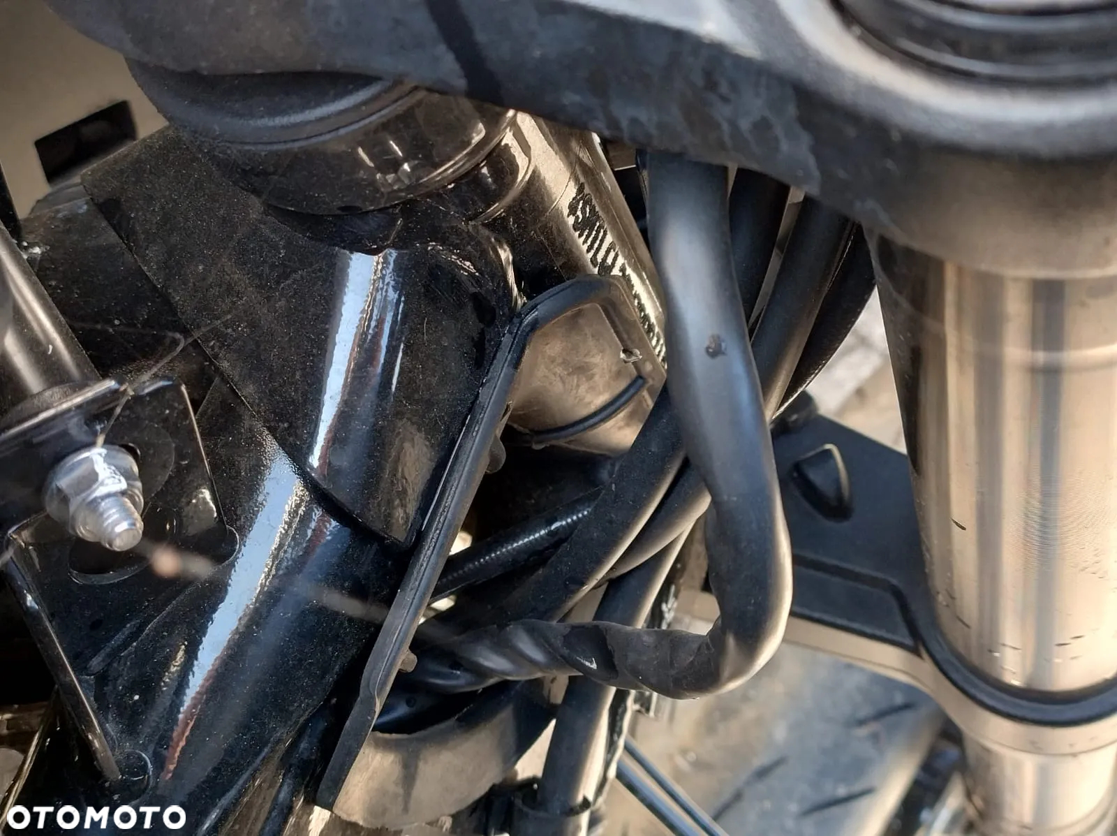 Triumph Tiger - 21