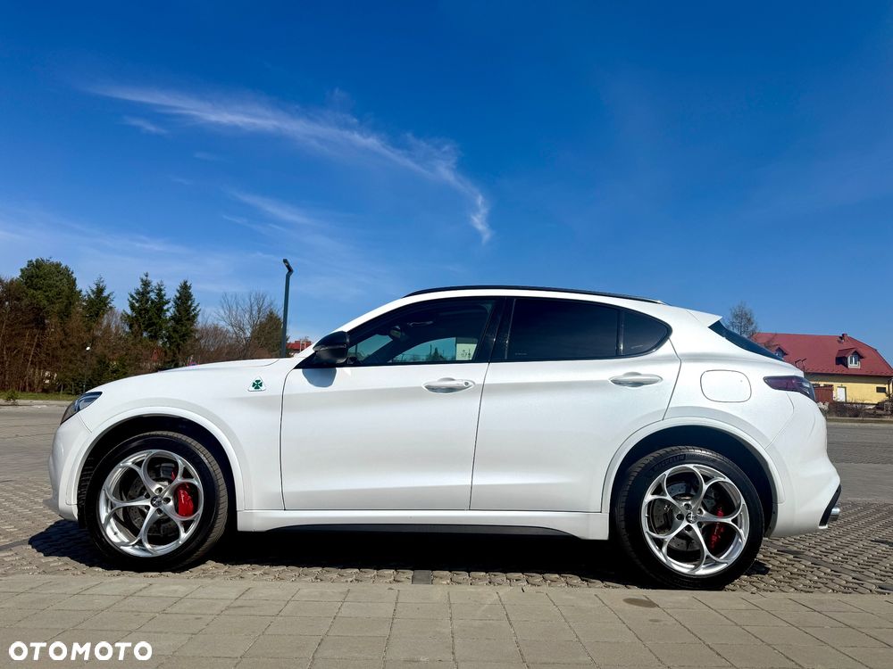 Alfa Romeo Stelvio 2.9 V6 Bi-Turbo Quadrifoglio Q4 - 36
