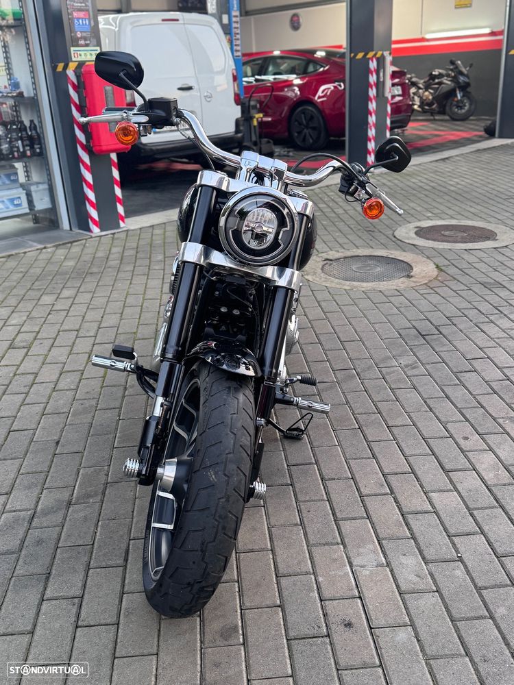 Harley-Davidson Softail - 6