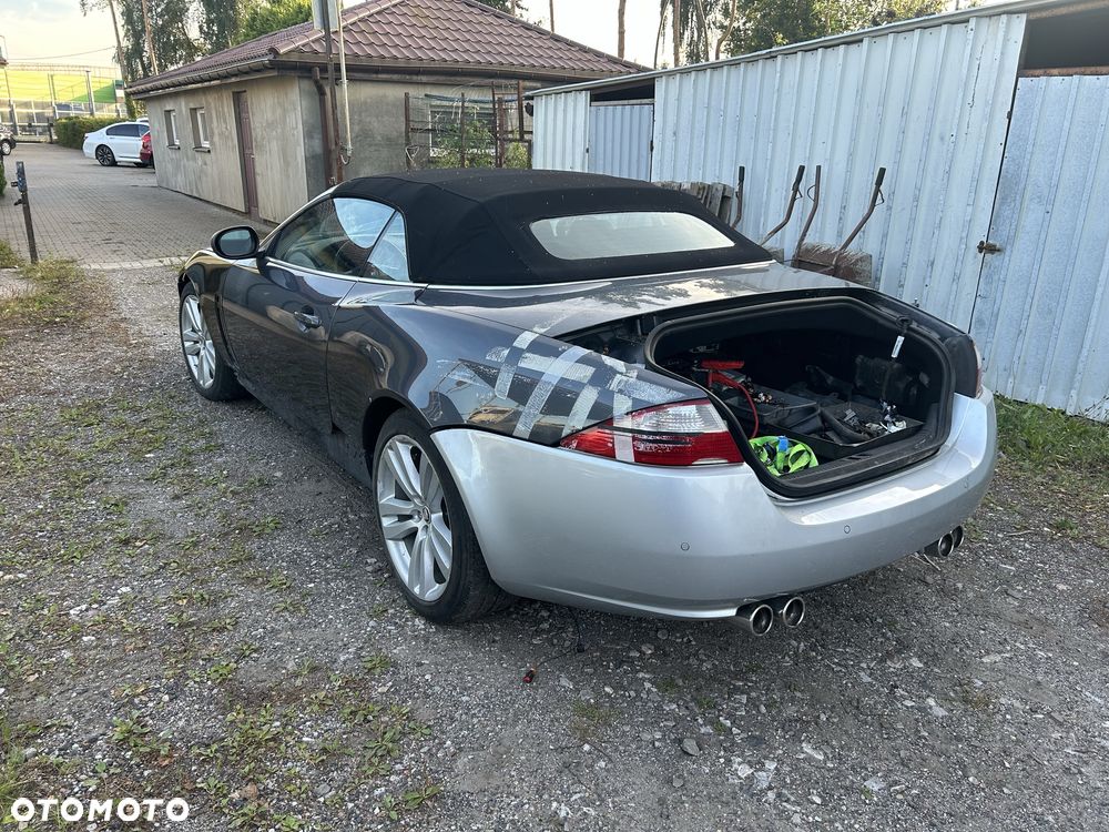 Jaguar Inny - 5