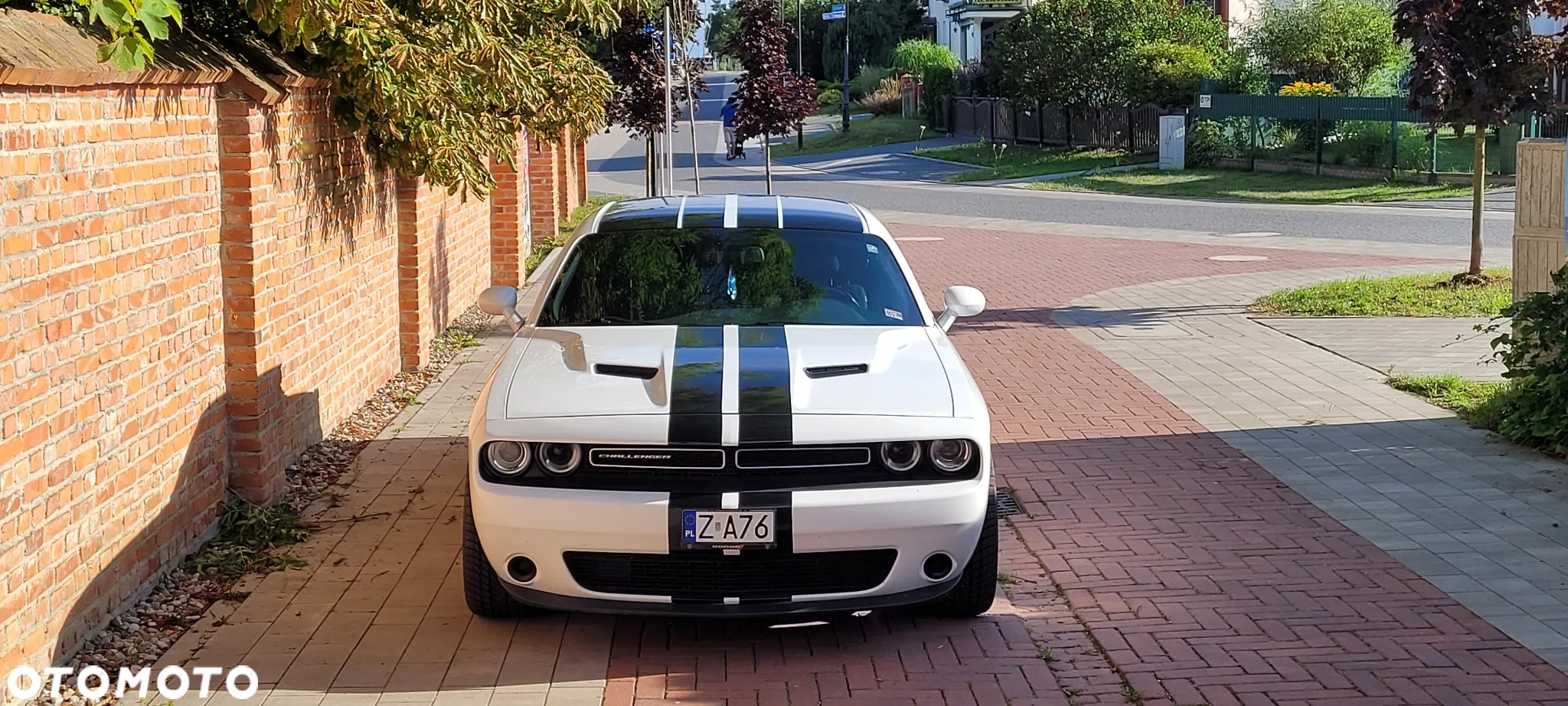 Dodge Challenger - 8