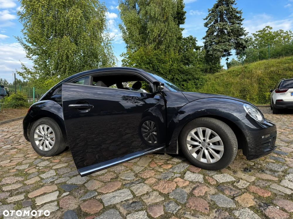 Volkswagen Beetle - 7