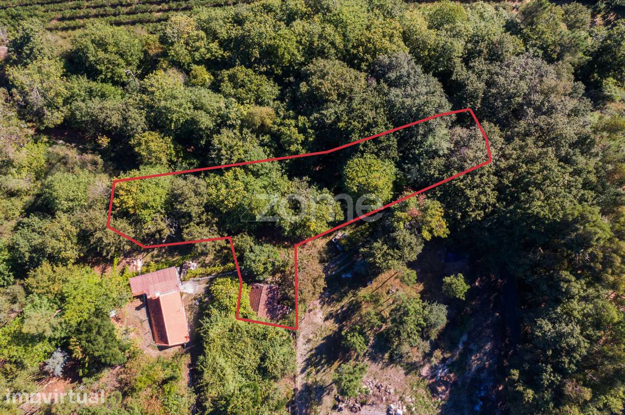 Moradia com terreno de 1.445 m2 -Vieira do Minho - Grande imagem: 3/20