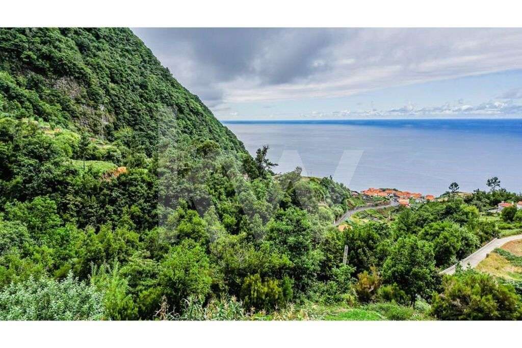 Terreno com armazém agrícola | Ponta delgada | Ilha da Madeira - Grande imagem: 3/20