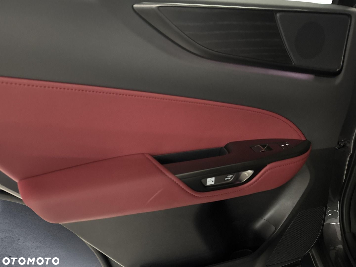 Lexus NX - 10