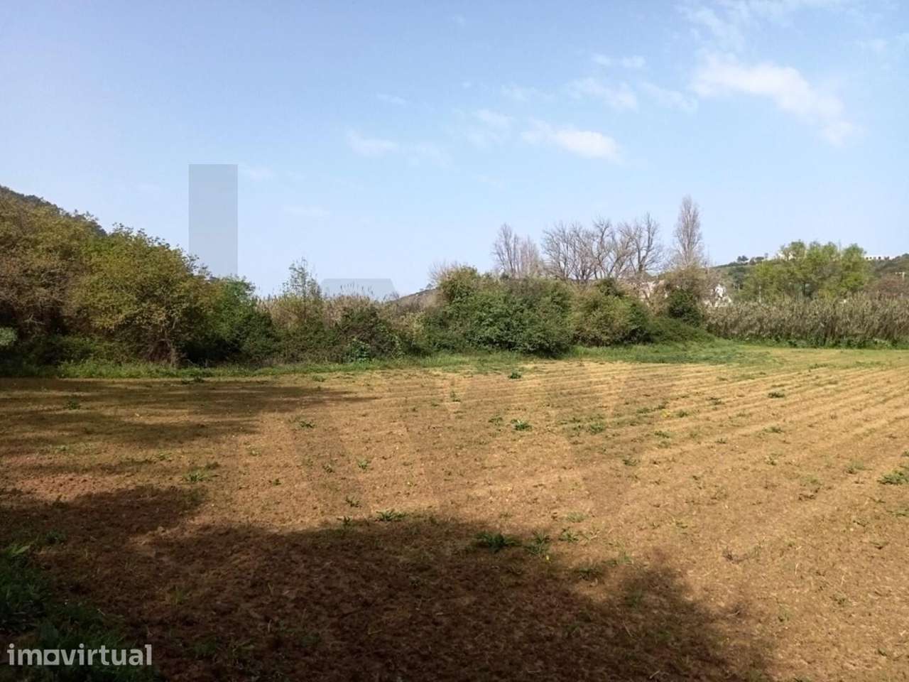 Terreno Agrícola em Ótima Localização com 3500 m2 Junto à Praia Ribeir - Grande imagem: 5/7